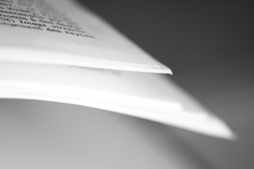 pages