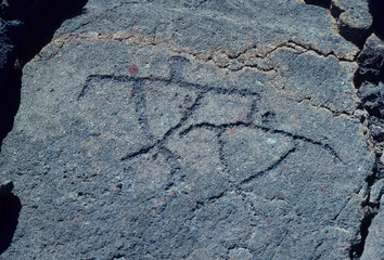 Hawaiian petroglyph etching, Big Island of Hawaii, Hawaii