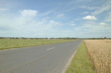 Fototapeta na wymiar route rurale en Essonne