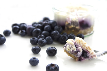 Blueberry Cheesecake
