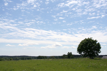 Fototapeta premium Landscape
