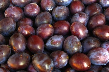 Pflaume 06