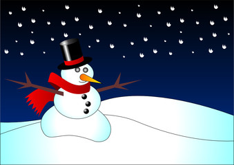 Snowman by night 