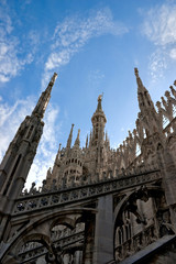 Fototapeta premium Milano Duoma