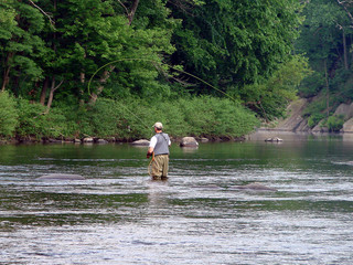 Fly Fishing
