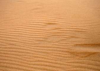 Fototapeta na wymiar dune sand anywhere of World