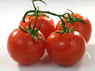 tomato, food, vegetable, healthy