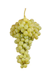 Isolated cluster of white grape