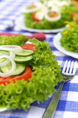 Vegetable Salad
