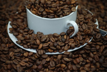 Kaffeetasse