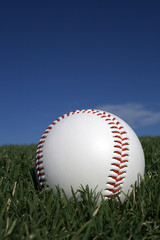 Baseball in Grass