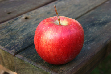 Apple