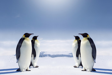 Fototapeta na wymiar At the South pole