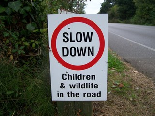 slow down