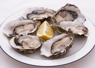 Plate Of Oysters