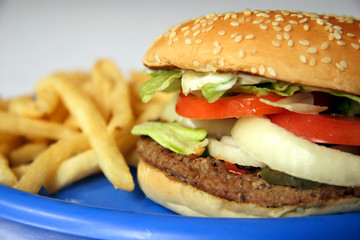 Hamburger and Fries