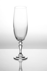 champagne glass
