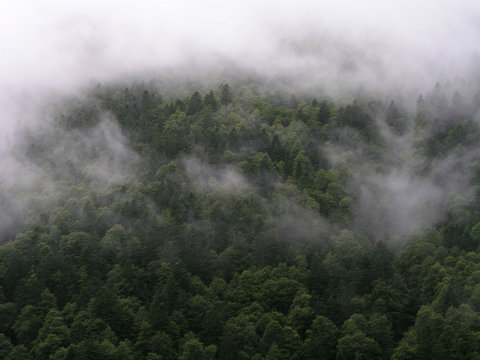 Fototapeta niebla