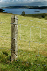 Fototapeta premium Fence post along a track to the lake