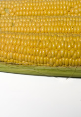 Corn on the cob 