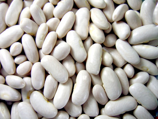 Background of white haricot beans
