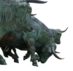 Foto op Plexiglas Stierenvechten stier