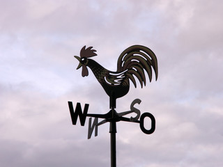 wetterhahn