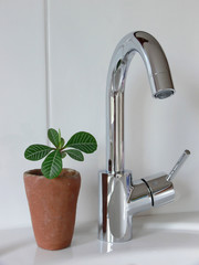 Moderner Wasserhahn mit Topfpflanze daneben