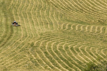 Obraz premium récolte des fourrages