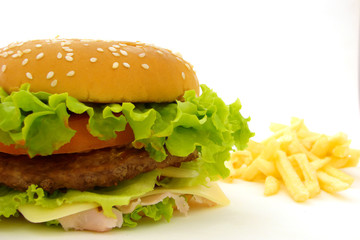 Hamburger and fris composition