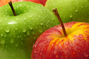 Green and red apples composition