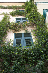 Summer house windows