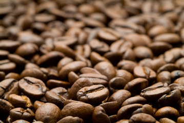 coffee grains