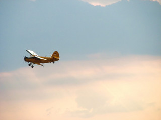 biplane © Dusan Radivojevic