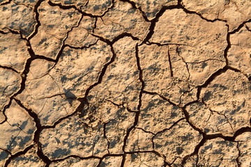 Cracked and dried mud texture