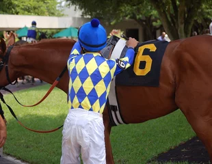 Wandcirkels Paardrijden Rider Up  © richard pross