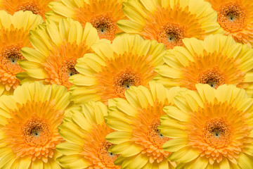 Texture from yellow gerbers