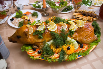 Milk piglet © Fanfo