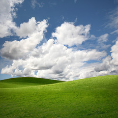 Green field Landscape