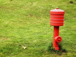Grün und Rot
