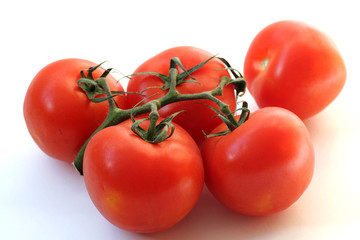 tomatoes
