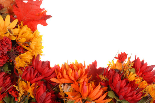 Several Autumn Flowers Placed In A Pattern To Form A Border