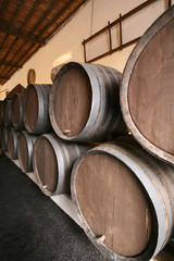 alignment of wine barrels