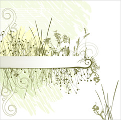 Grass silhouette frame/ background / vector