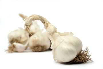 garlic bulbs