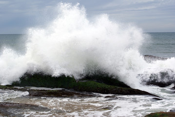 Fototapeta premium Big wave