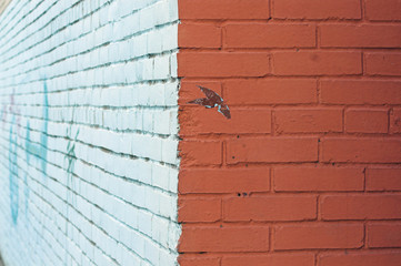 Close-up view of corner and painted wall with graffiti
