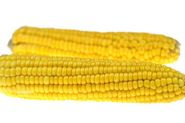 Corn cob