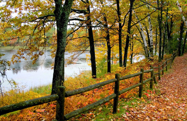 Naklejka premium Autumn Landscape