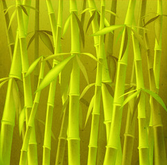 Fototapeta na wymiar bamboo trees